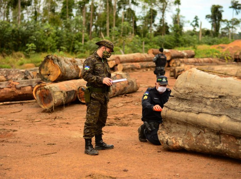 Imagem de dois agentes públicos medindo um tronco de árvore cortado durante inspeção