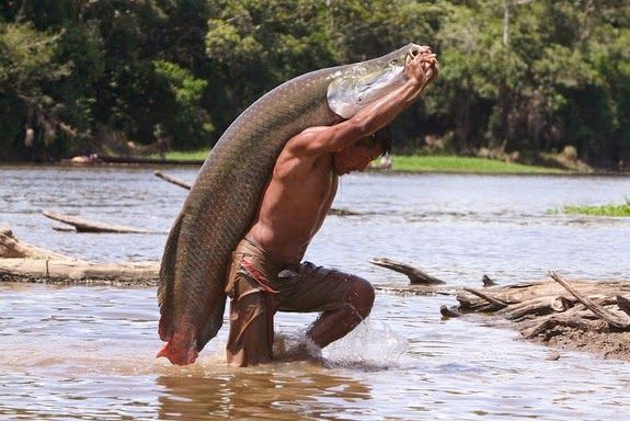 Imagem de homem carregando peixa